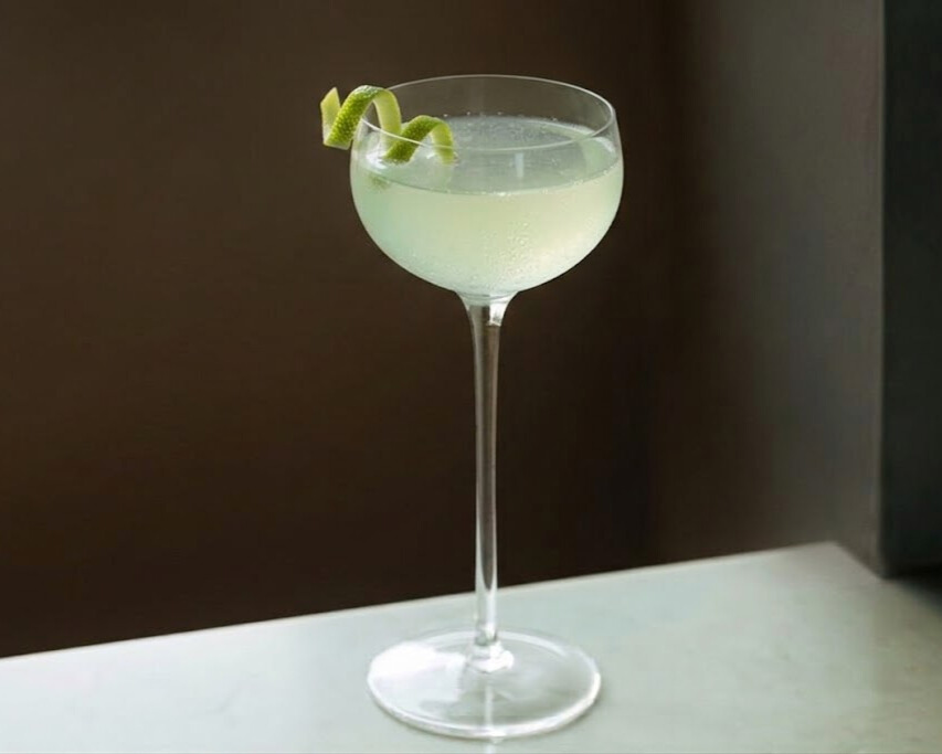 Classic gimlet cocktail served in a coupe glass with a lime twist garnish