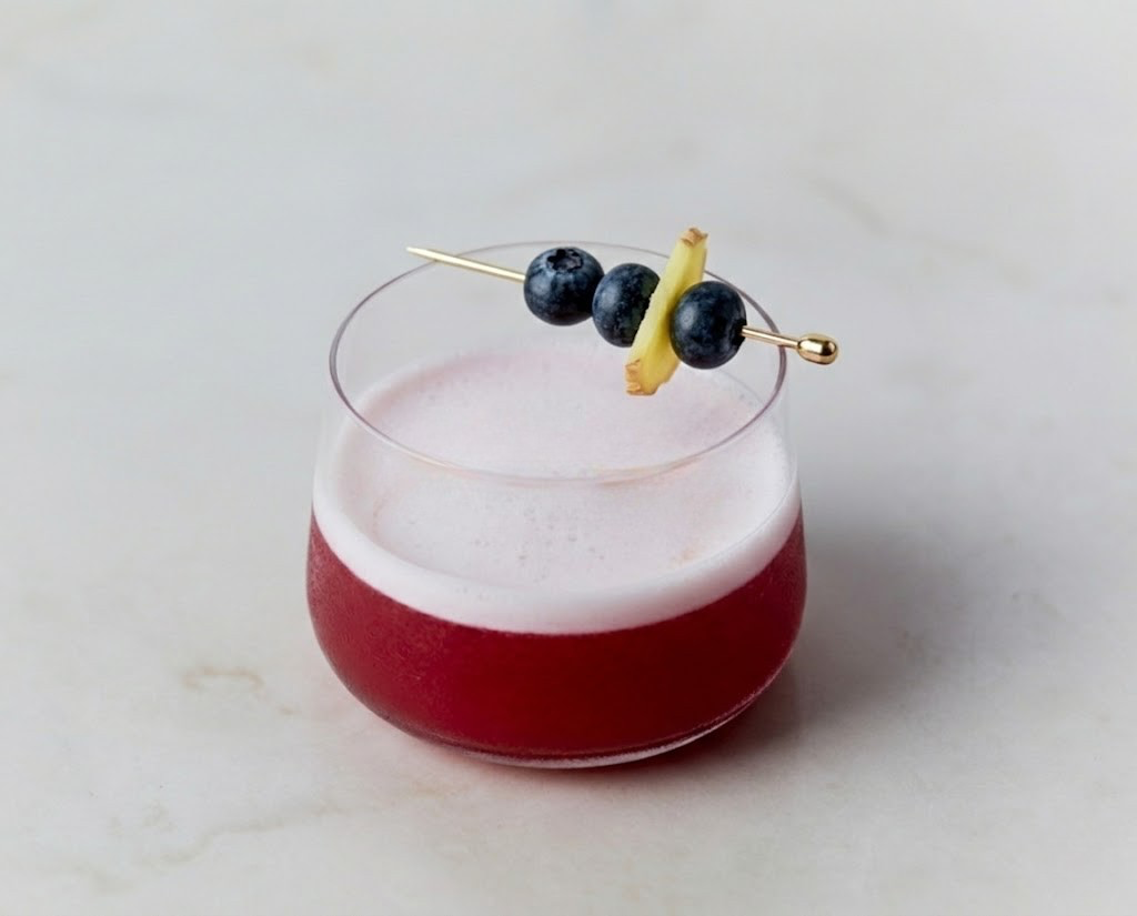 Blueberry Ginger Sour cocktail and blueberry garnish